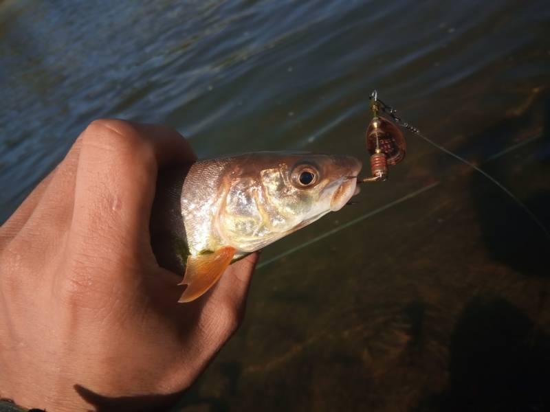Фотоотчет с рыбалки. Место: Республика Бурятия