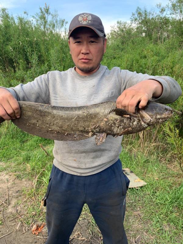 Фотоотчет по рыбе: Сом. Место рыбалки: Улан-Удэ (Респ. Бурятия)