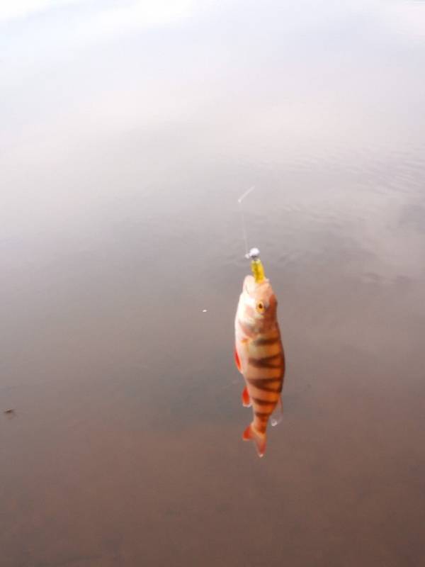 Фотоотчет с рыбалки. Место: Республика Бурятия