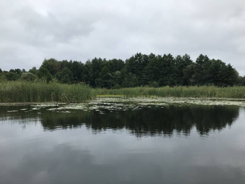 Фотоотчет с рыбалки. Место: Воронеж