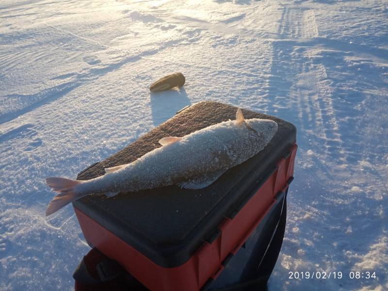 Фотоотчет с рыбалки. Место: Республика Бурятия