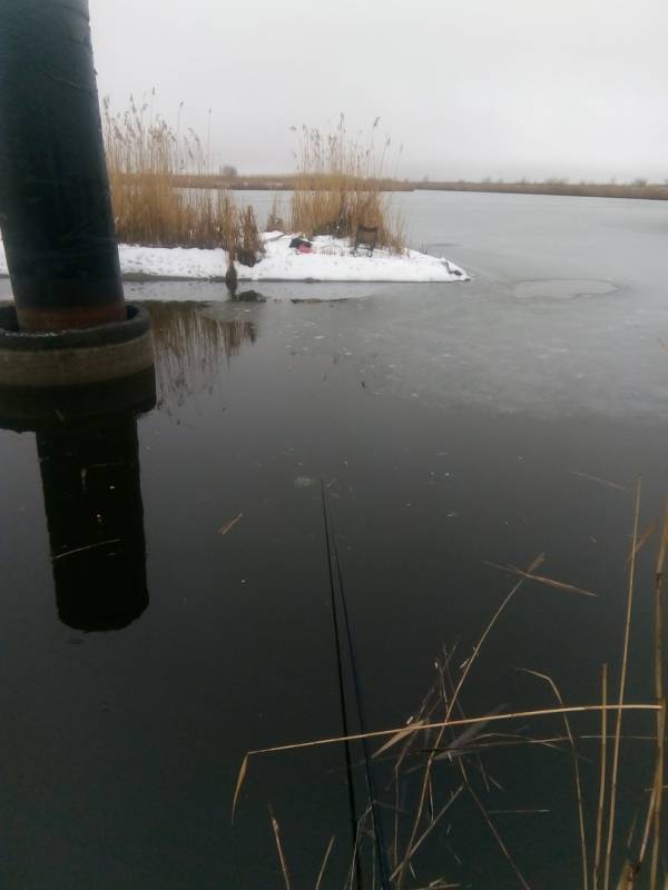 Фотоотчет с рыбалки. Место: Новочеркасск