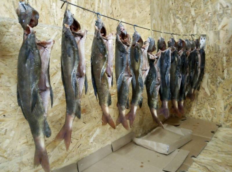 Фотоотчет с рыбалки. Место: Магаданская область