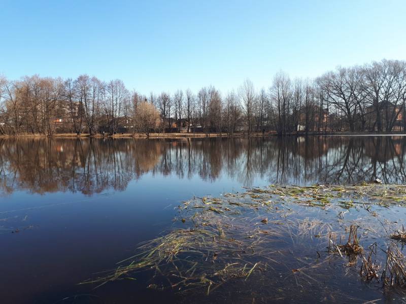 Фотоотчет с рыбалки. Место: Орехово-Зуево