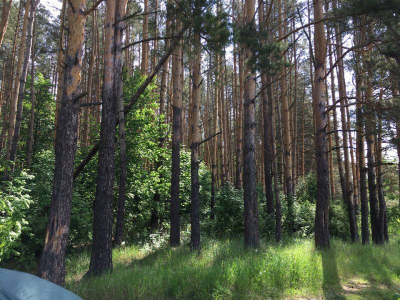 Фотоотчет с рыбалки. Место: Дальнее Константиново