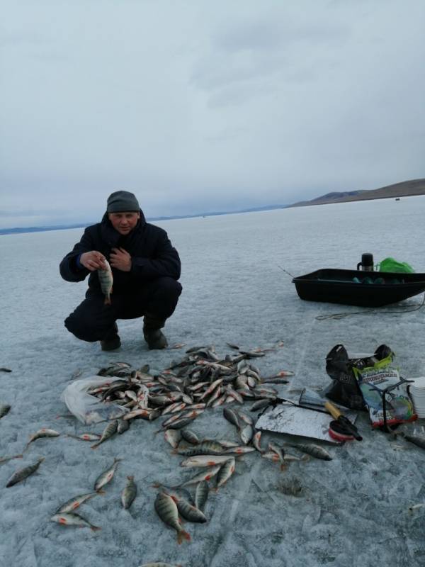 Фотоотчет по рыбе: Окунь. Место рыбалки: Красноярское водохранилище