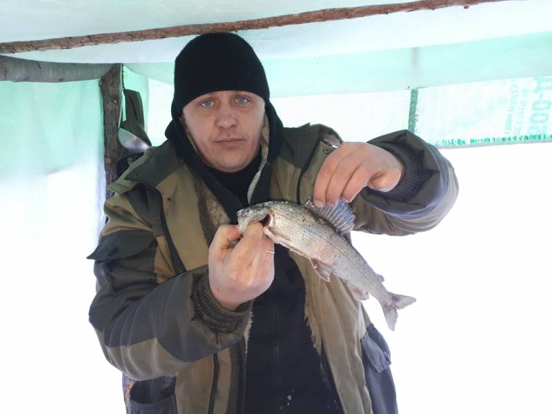 Фотоотчет по рыбе: Хариус. Место рыбалки: Амурская область