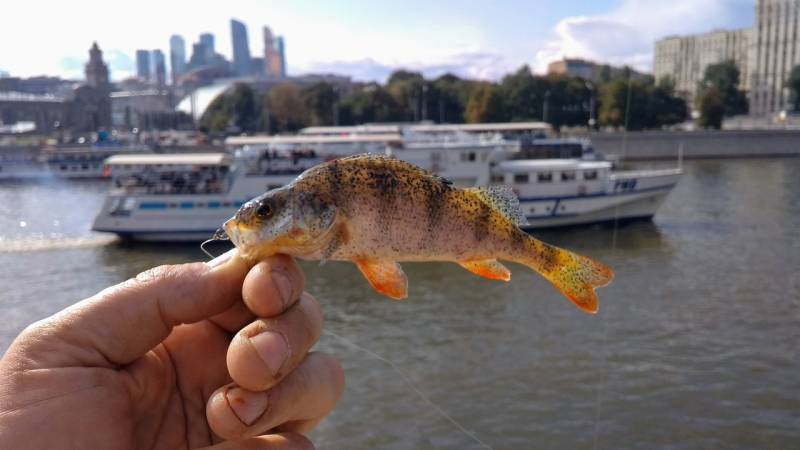 Фотоотчет с рыбалки. Место: Москва