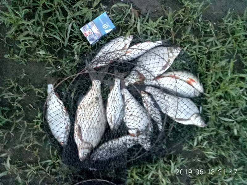 Фотоотчет по рыбе: Лещ. Место рыбалки: Республика Хакасия