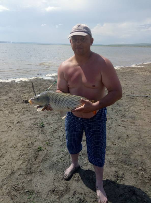 Фотоотчет по рыбе: Карп, Сазан. Место рыбалки: Красноярский край
