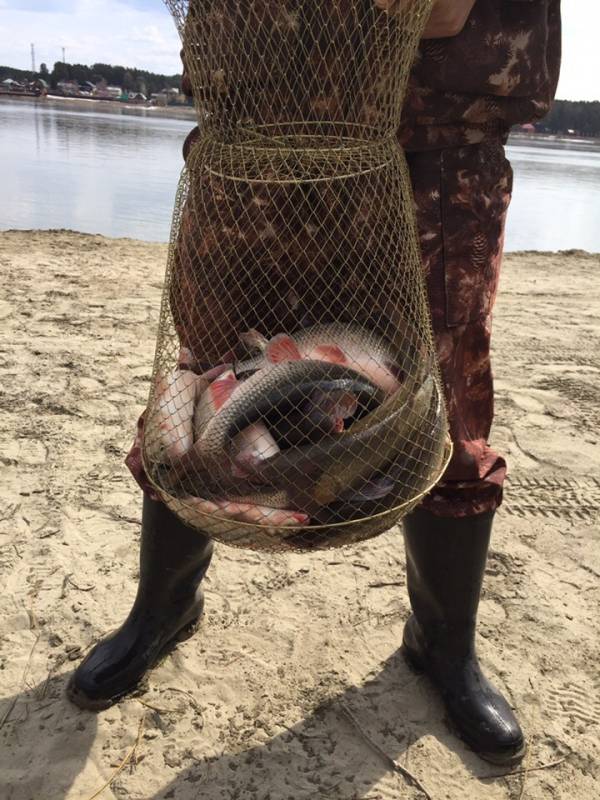 Фотоотчет с рыбалки. Место: Томская область