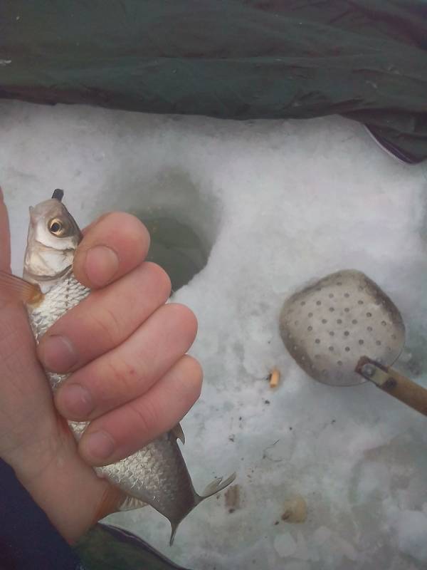 Фотоотчет с рыбалки. Место: Томская область