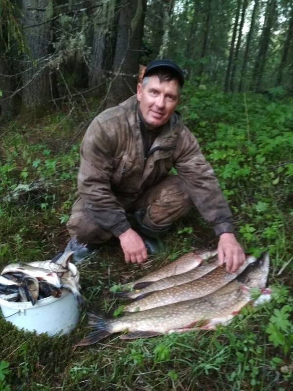 Рыболовный отчет по рыбе: Щука