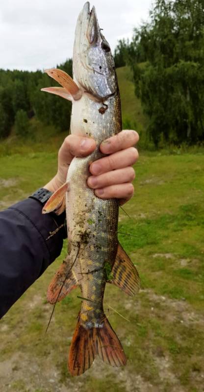 Фотоотчет с рыбалки. Место: Сысертский городской округ