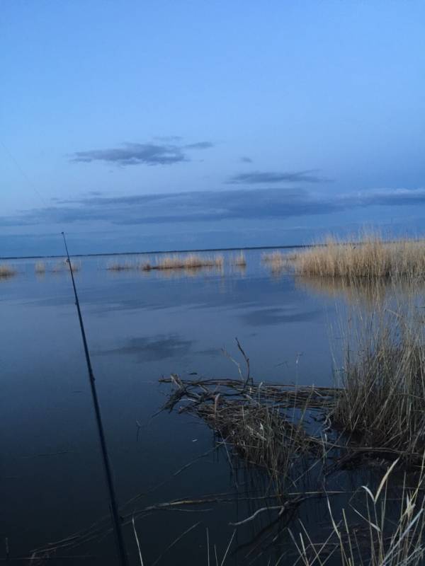 Фотоотчет с рыбалки. Место: озеро Уелги (Челябинская обл.)