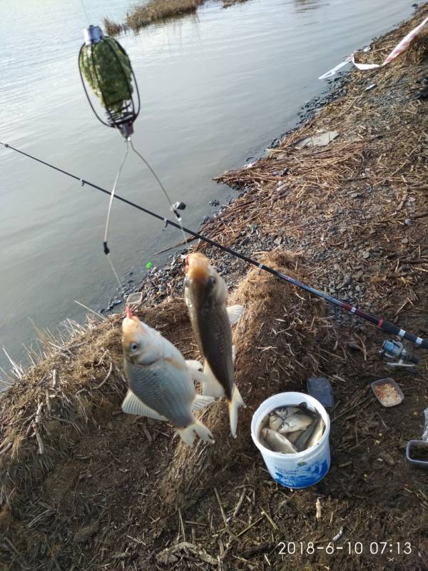 Фотоотчет по рыбе: Карась. Место рыбалки: озеро Уелги (Челябинская обл.)