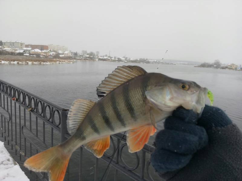 Фотоотчет с рыбалки. Место: Асбест