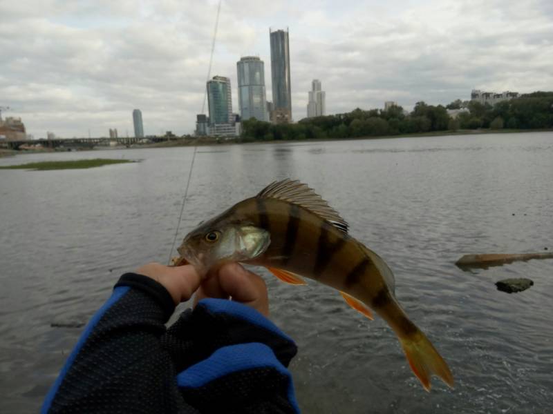 Фотоотчет с рыбалки. Место: Екатеринбург (Свердловская обл.)