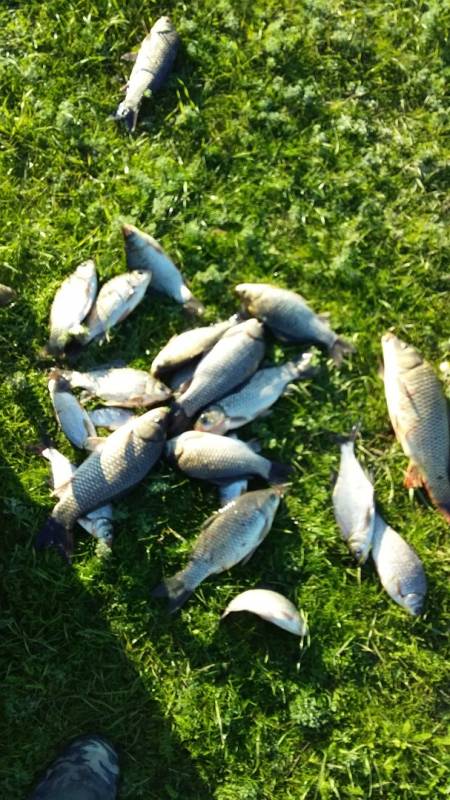 Фотоотчет с рыбалки. Место: Республика Калмыкия