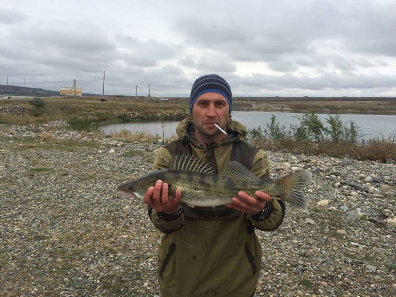Фотоотчет по рыбе: Судак. Место рыбалки: Егорлыкское водохранилище