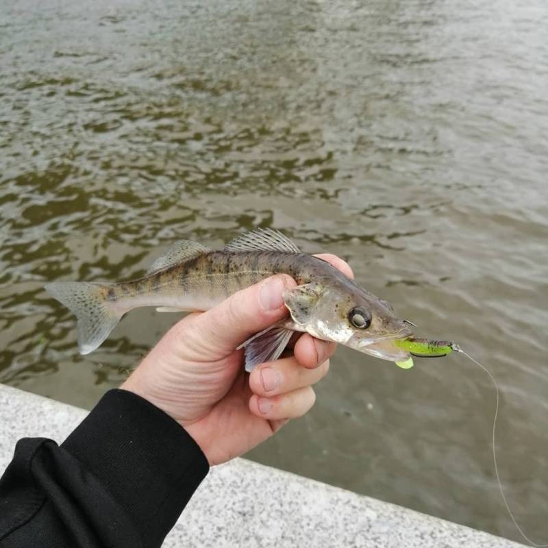 Фотоотчет с рыбалки. Место: Москва