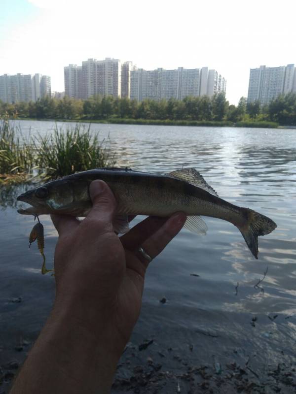 Фотоотчет с рыбалки. Место: Подольск