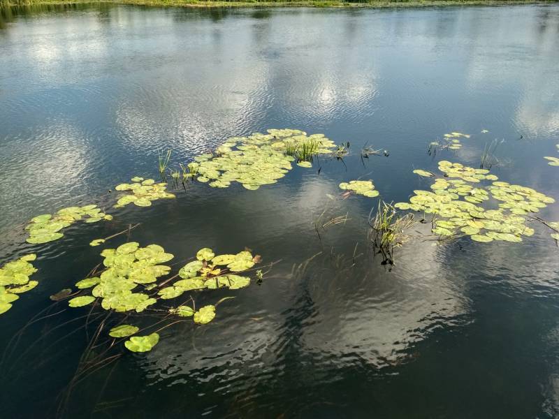 Фотоотчет с рыбалки. Место: Воронеж