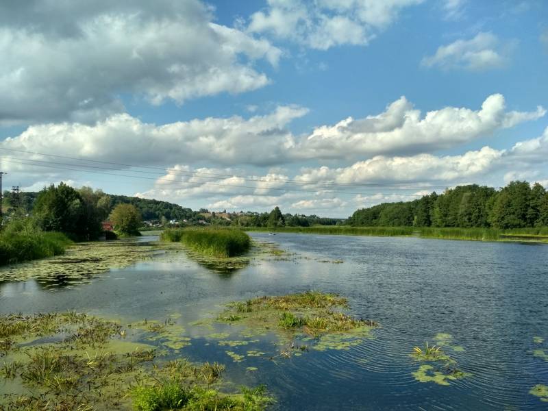 Фотоотчет с рыбалки. Место: Воронежская область