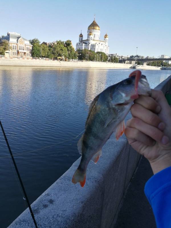 Фотоотчет с рыбалки. Место: Раменское