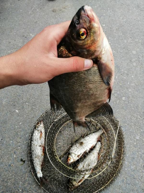 Фотоотчет с рыбалки. Место: Невьянский городской округ