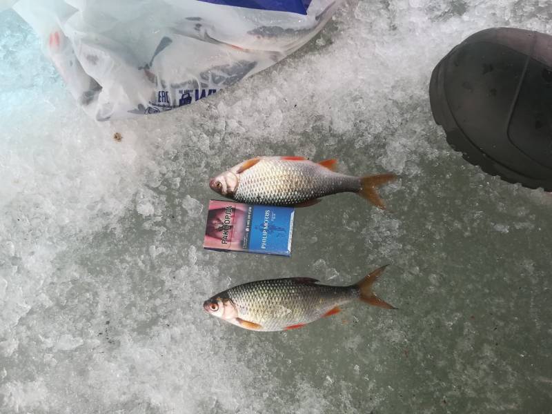 Фотоотчет с рыбалки. Место: Челябинская область