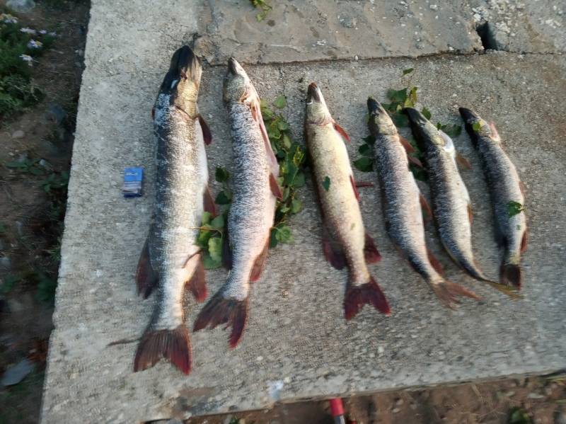 Фотоотчет с рыбалки. Место: Забайкальский край