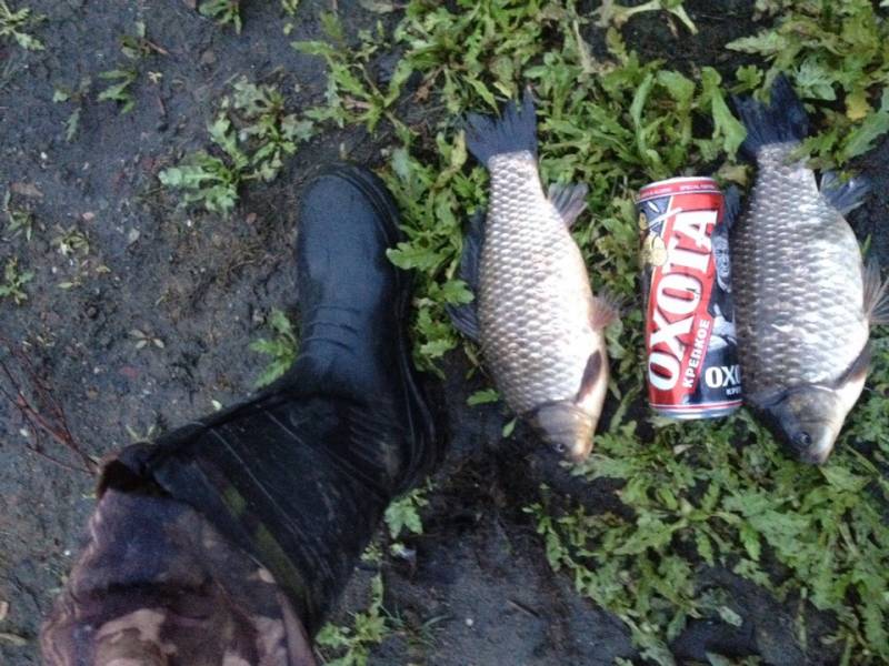 Фотоотчет по рыбе: Карась. Место рыбалки: Челябинская область