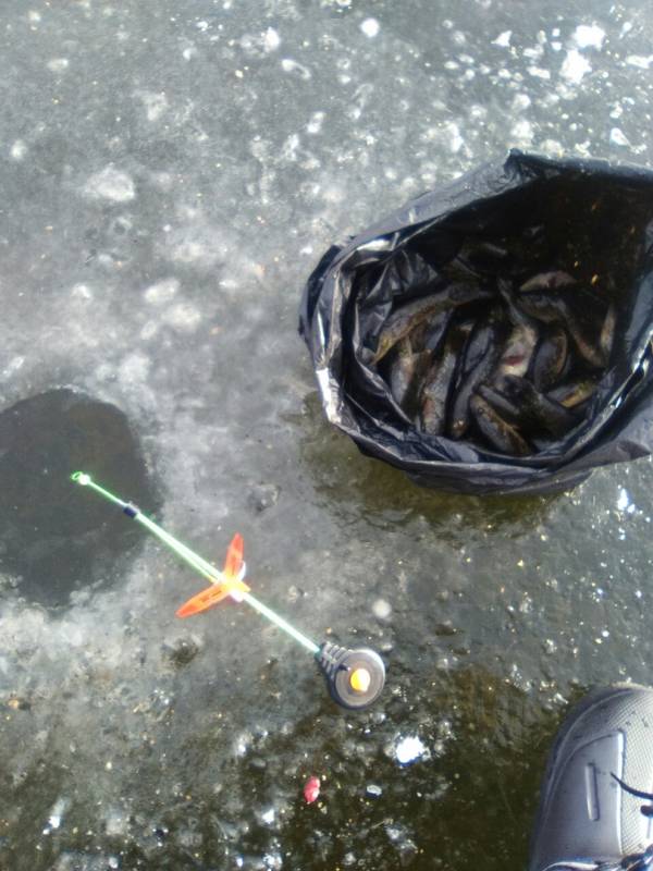 Фотоотчет по рыбе: Ротан. Место рыбалки: Кунашак (Челябинская обл.)