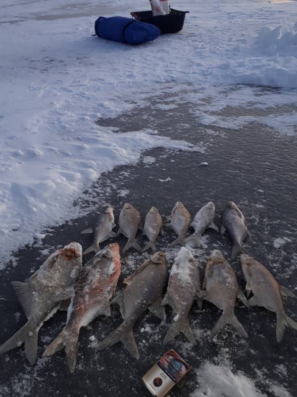 Фотоотчет по рыбе: Лещ. Место рыбалки: Челябинская область