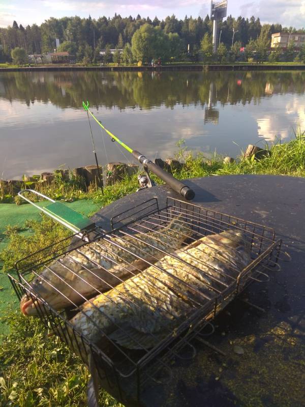 Фотоотчет с рыбалки. Место: Пяловское водохранилище