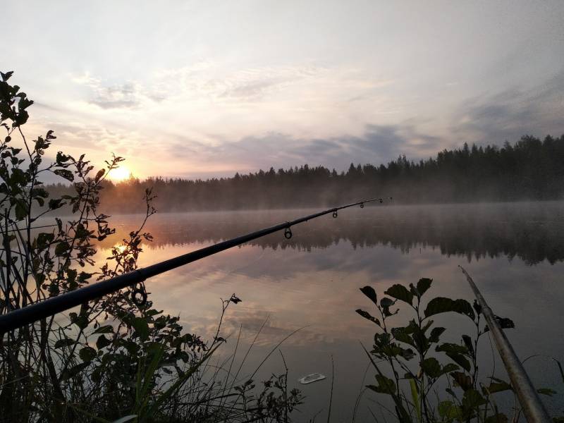 Фотоотчет с рыбалки. Место: Раменское