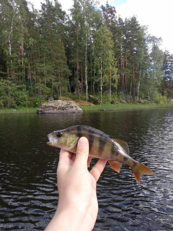 Фотоотчет с рыбалки. Место: Варшко