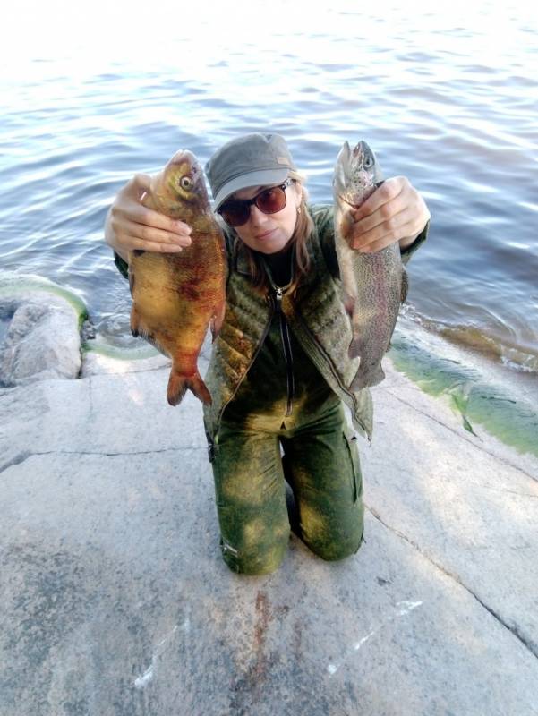 Фотоотчет по рыбе: Лещ, Форель озерная. Место рыбалки: Ленинградская область