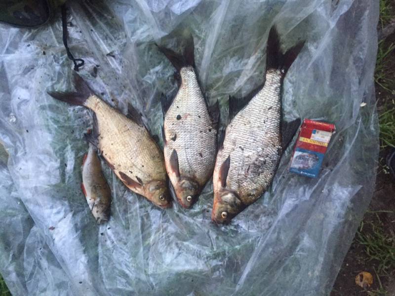 Фотоотчет с рыбалки. Место: Суходольское озеро