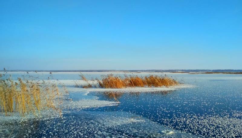 Фотоотчет с рыбалки. Место: Чесменский район