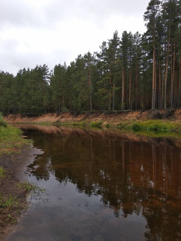 Фотоотчет с рыбалки. Место: Боровичи (Новгородская обл.)