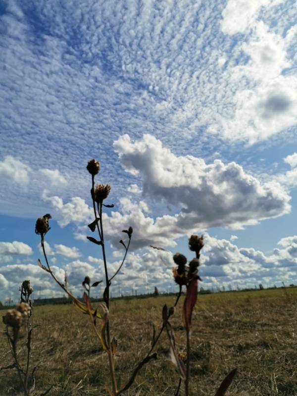 Фотоотчет с рыбалки. Место: Кипень