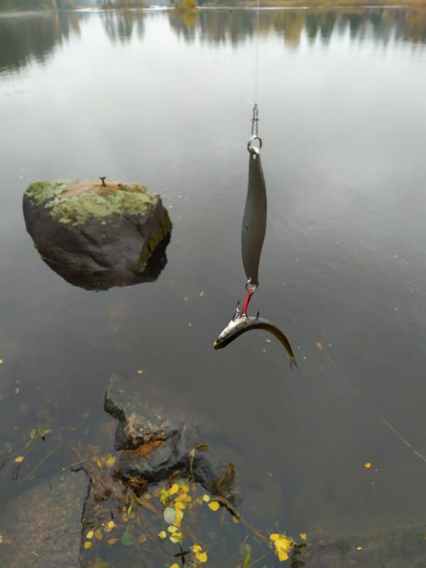 Фотоотчет с рыбалки. Место: Вуокса озеро