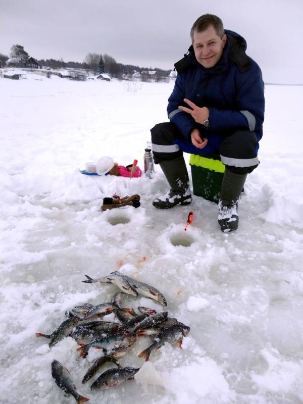 Фотоотчет по рыбе: Окунь. Место рыбалки: Петрозаводск (Респ. Карелия)