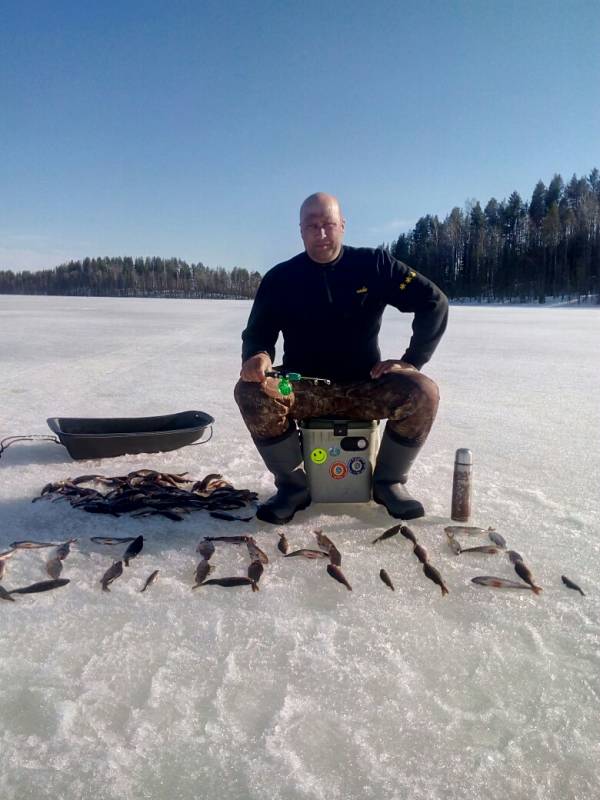 Фотоотчет по рыбе: Окунь. Место рыбалки: озеро Сямозеро (Респ. Карелия)