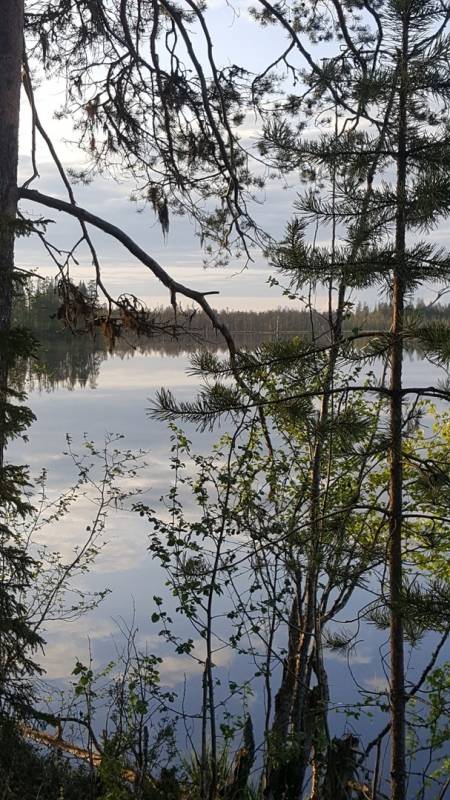 Фотоотчет с рыбалки. Место: Онежское озеро