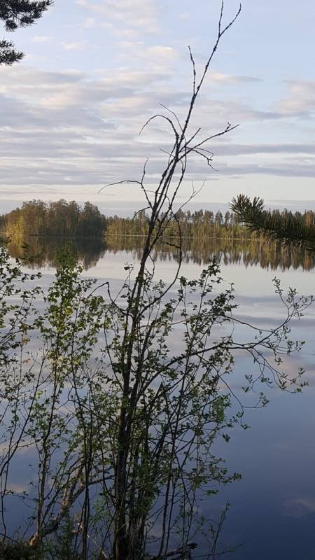 Фотоотчет с рыбалки. Место: Республика Карелия