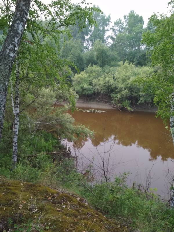 Фотоотчет с рыбалки. Место: Знаменский район (Омская обл)