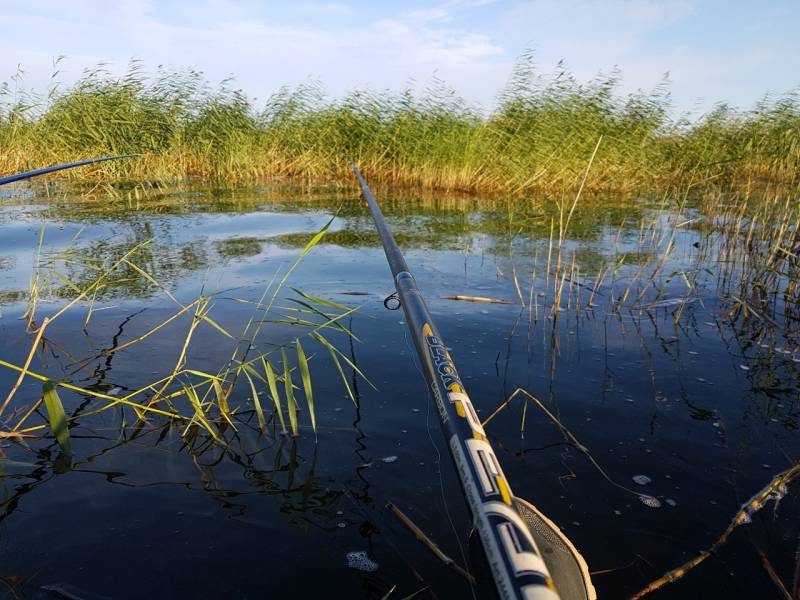 Фотоотчет с рыбалки. Место: озеро Салтаим (Омская обл.)